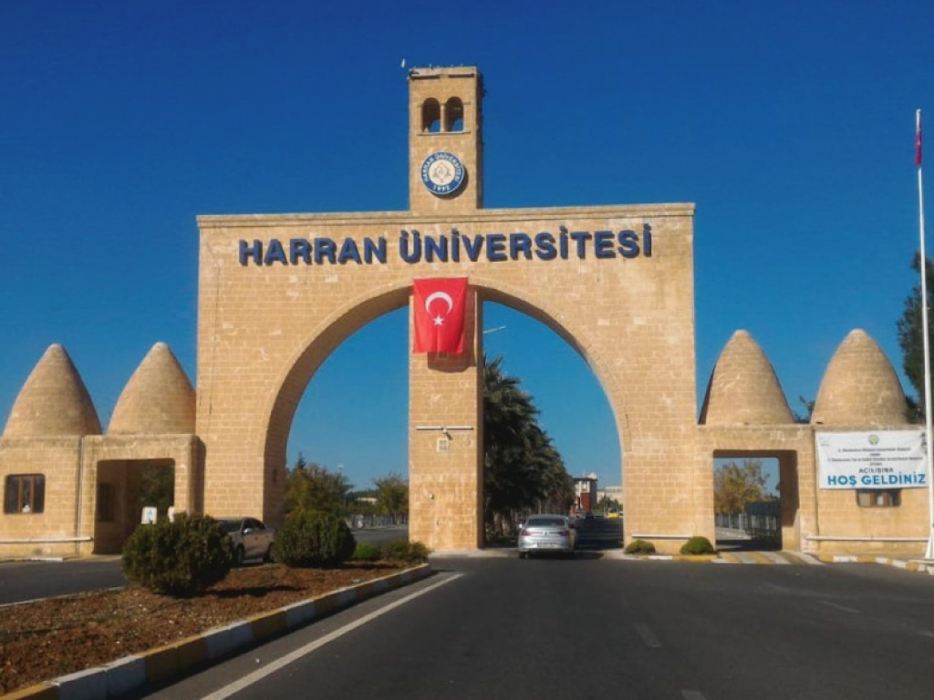  niversite